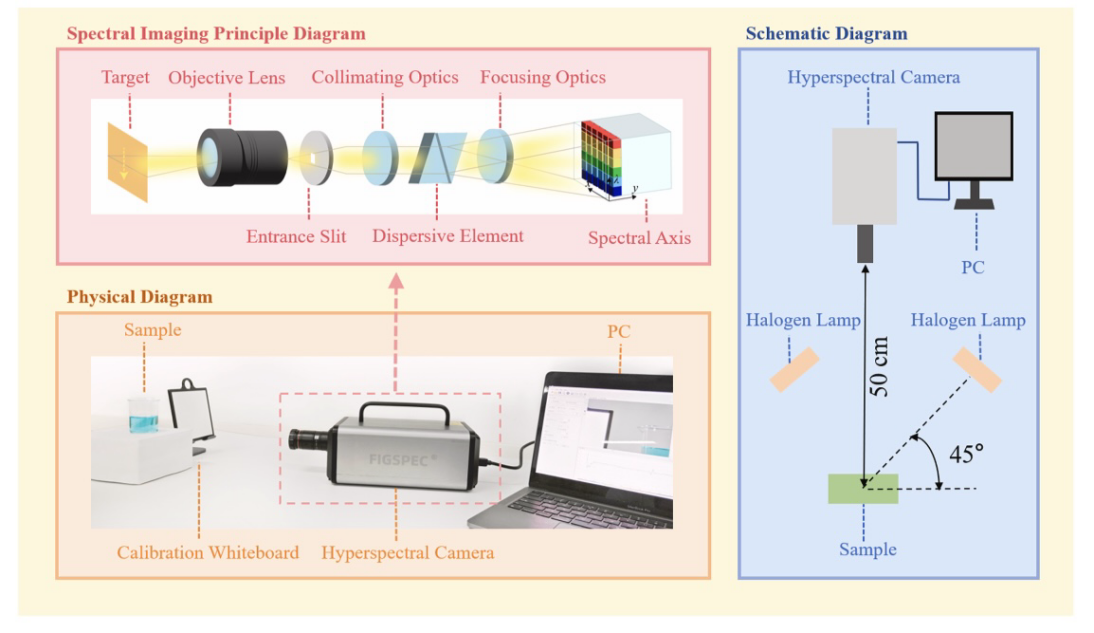 我院師生在國際頂級期刊上發表多篇高水平成果